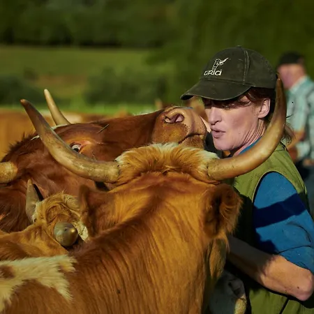 Uria شقة بالينغن