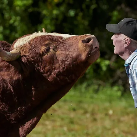 شقة Uria بالينغن